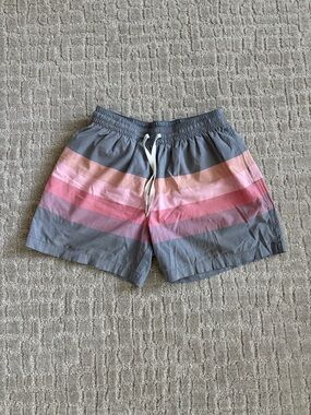 Chubbies 5.5 in inseam swim shorts
